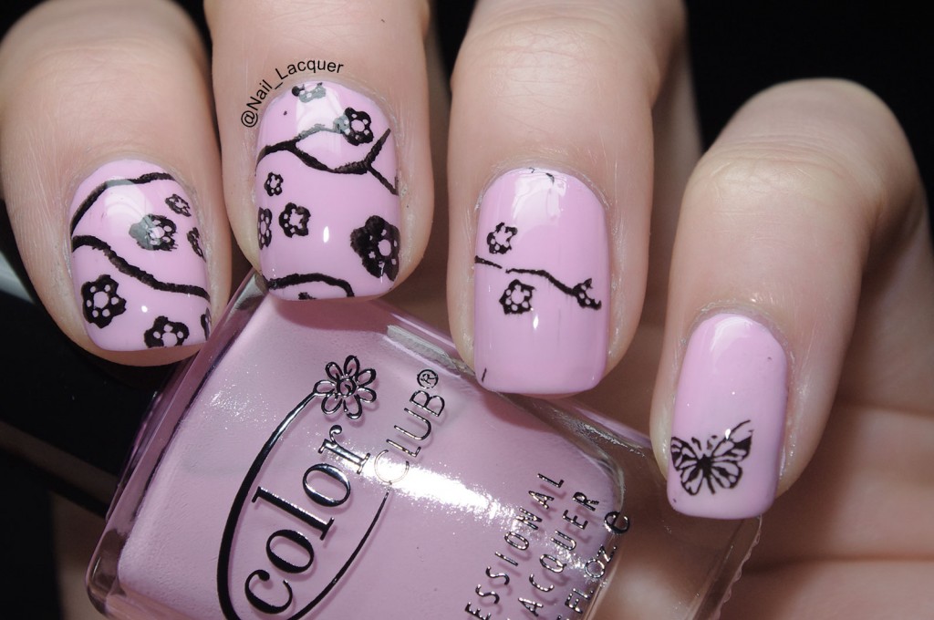 born pretty store nail stamp (3)