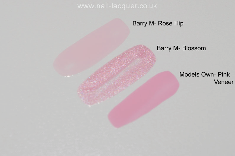 Barry-M-Huckleburry-Rose-Hip-&-Sugar-Apple-swatches (11)